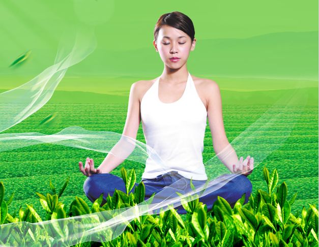 仿制假坦帕大学文凭毕业证